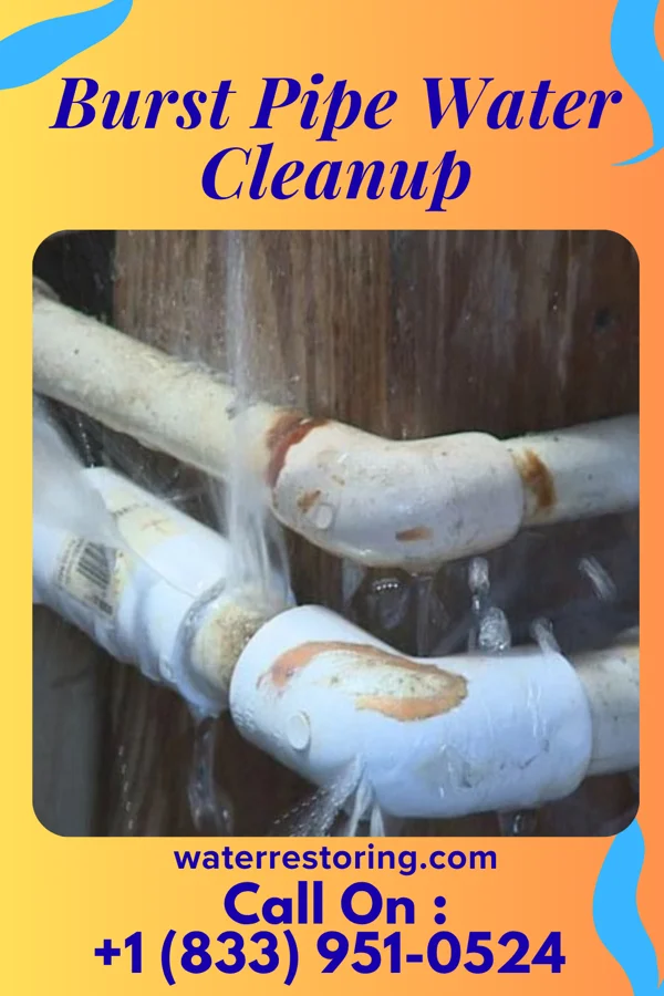 Burst Pipe Water Cleanup in Stapleton, GA