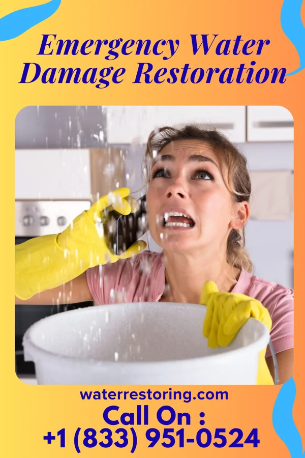 Emergency Water Damage Restoration in Stapleton, GA